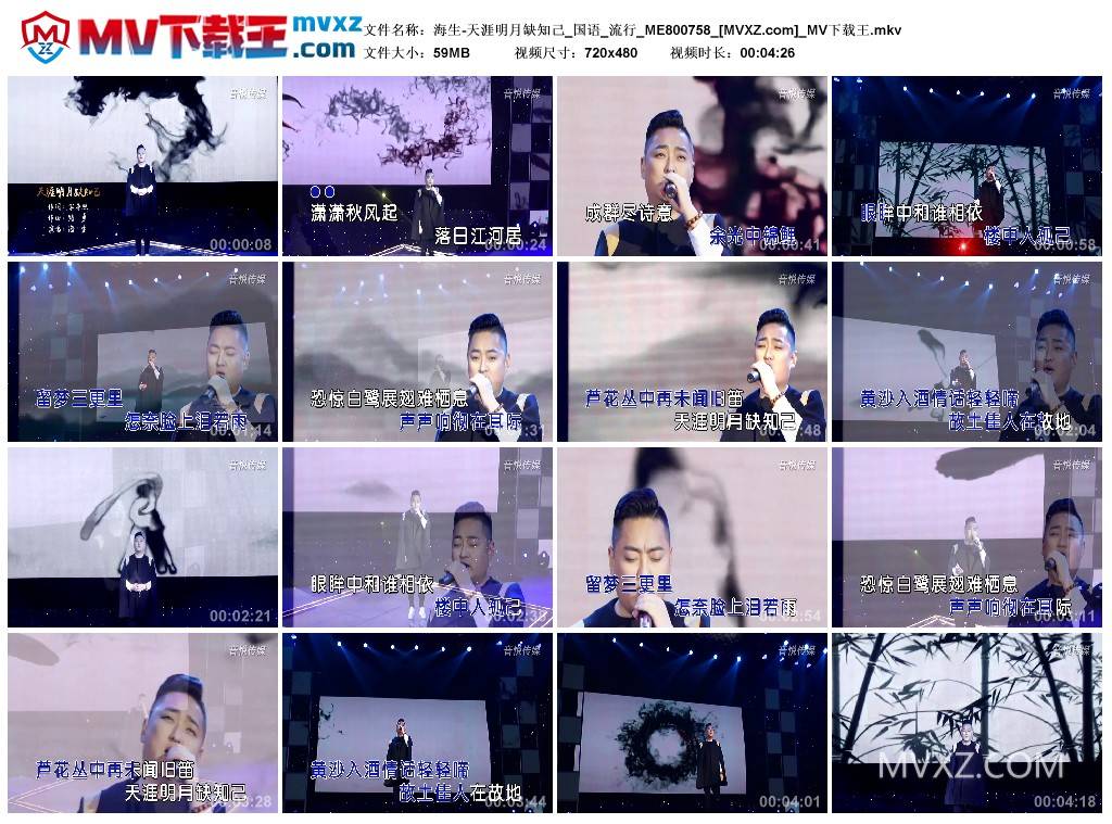 海生-天涯明月缺知己_国语_流行_ME800758